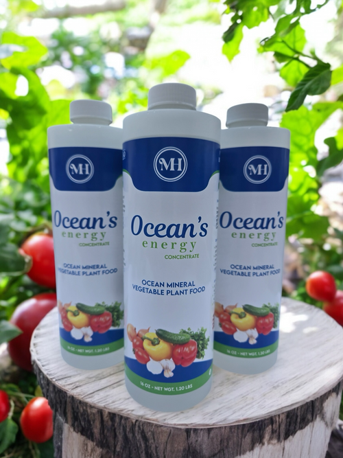 Ocean's Energy - Concentrate